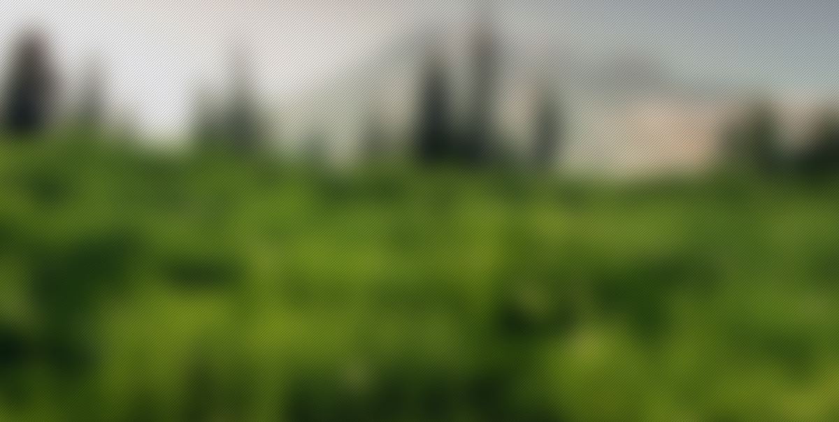Slider image 01